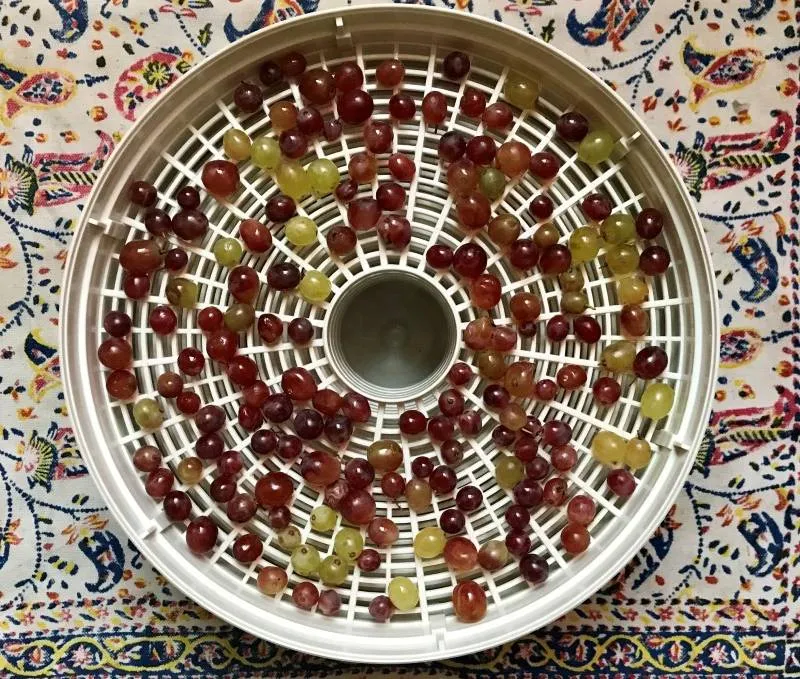 طرز تهیه کشمش در خانه 3