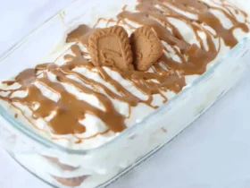 طرز تهیه دسر بیسکویت پتی بور با نشاسته بچه ها عاشقش می‌شن