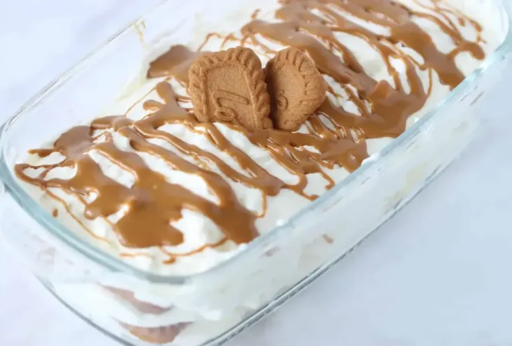 طرز تهیه دسر بیسکویت پتی بور با نشاسته بچه ها عاشقش می‌شن